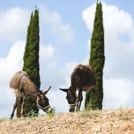 Дом отдыха Poggio Piero 3 By Interhome *